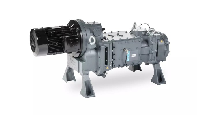 Sabit hızlı kuru vidalı vakum pompaları DWS 200-500